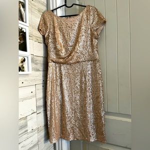 Champagne gold Adrianna Papell dress size 12